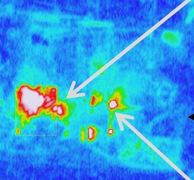 20110320_Unit3_thermograph.jpg