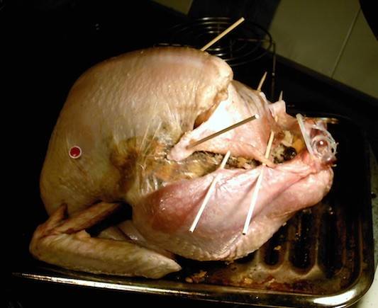 2014.11.27.0916.teenaged.mutant.ninja.turkey.jpg