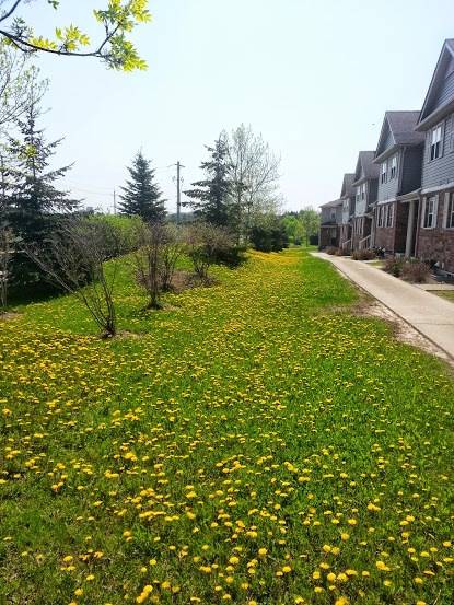 20140519_114029.jpg