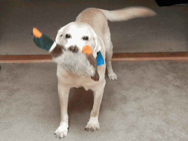 20140926-submission-png.73677.png