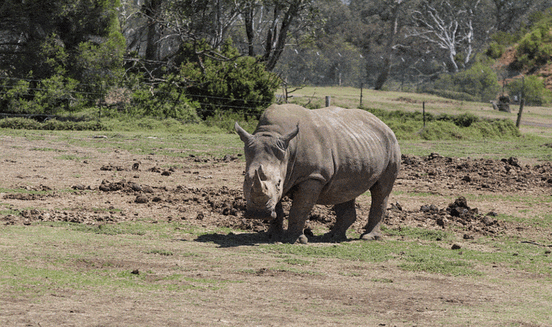 2015_12_28_4905sm.gif