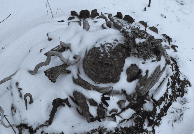 2016.12.15.pf.Rudolf.der.rot.nazd.frag.png