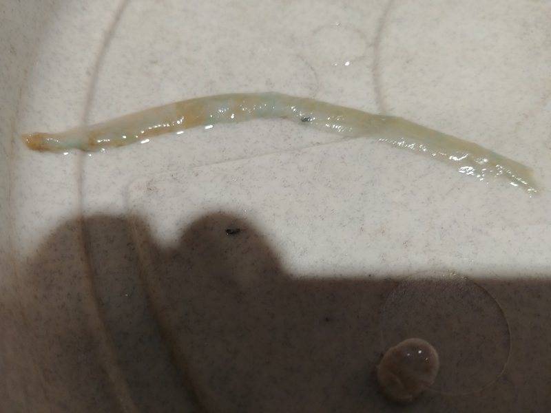 Alien blob in a water pipe