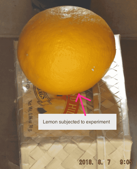 2018.08.07.lemon.in.spectrometry.device.png