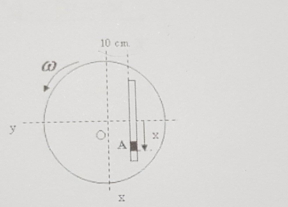 20190913_2306041.jpg