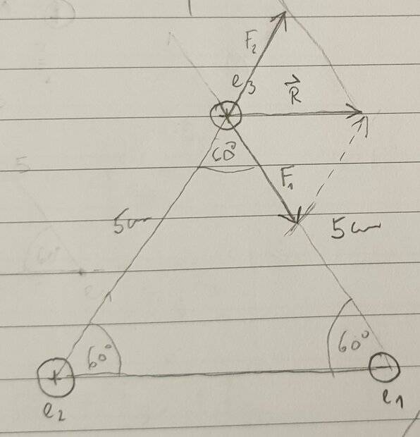 20210726_120444.jpg