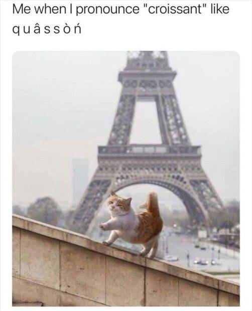 20220411_173428.jpg