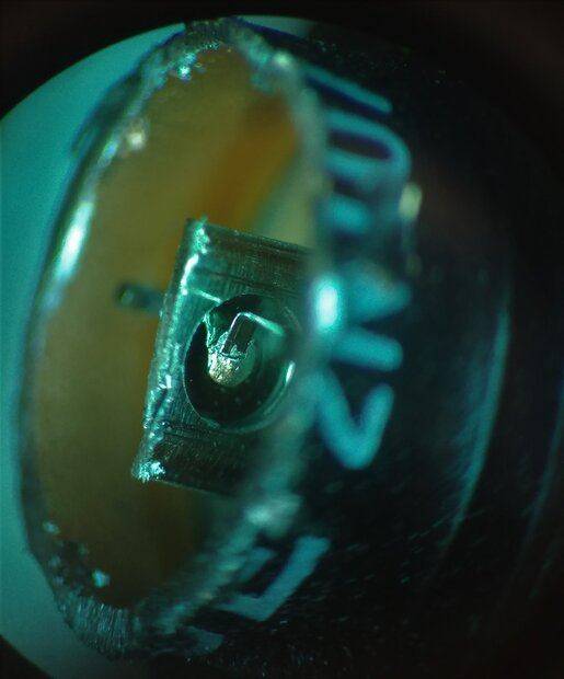 20221024_170612.jpg