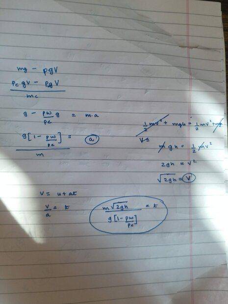 20221128_111257.jpg