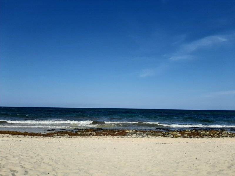 20230519_165848.jpg