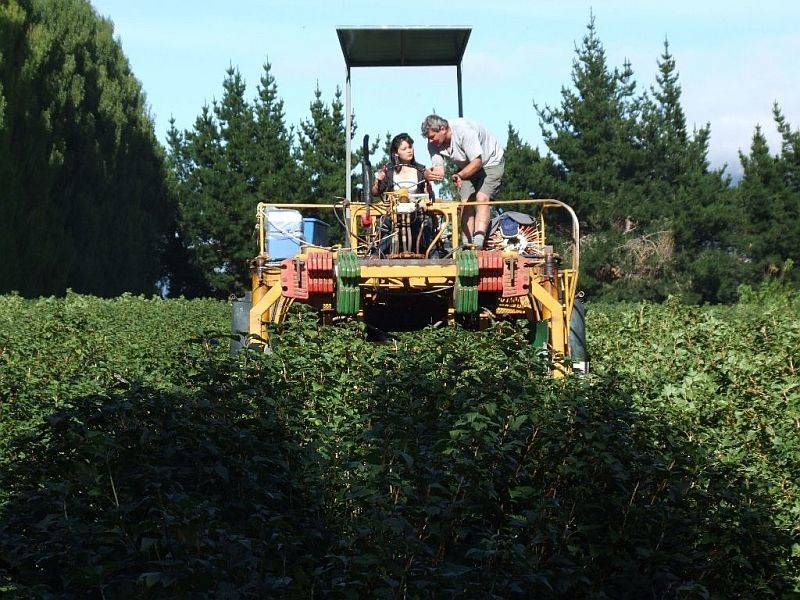 (2136) on the harvester1.jpg