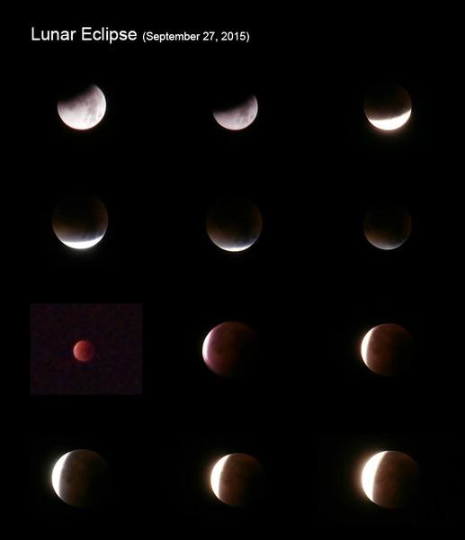 21632003060_4d7ef0b691_b.jpg
