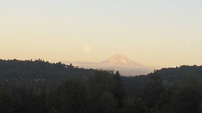21745002015_2a0703b439_b_d.jpg