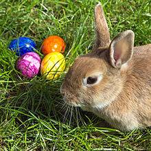 220px-Easterbunny_1.jpg