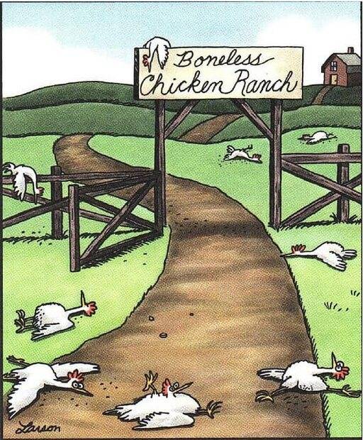 23 - Boneless Chicken Farm.jpg