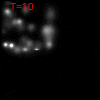 234956827345.gif
