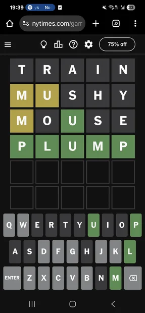 24923.webp