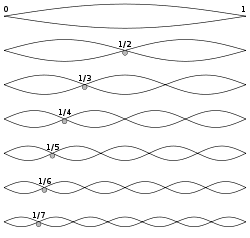 250px-Harmonic_partials_on_strings.svg.png