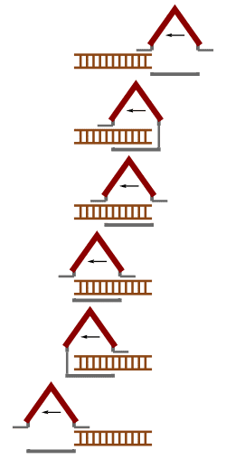 250px-Ladder_Paradox_LadderScenario.svg.png