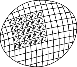 250px-Stokes.png 250px-Stokes.png