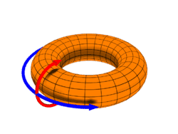 250px-Toroidal_coord.png