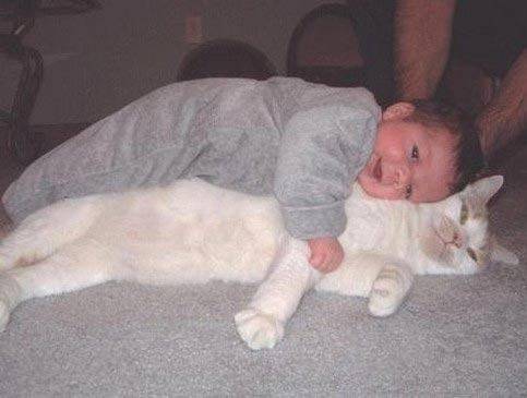 25366_ORIG-baby_laying_on_cat.jpg