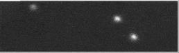 258px-Crab_Lucky_video2.gif