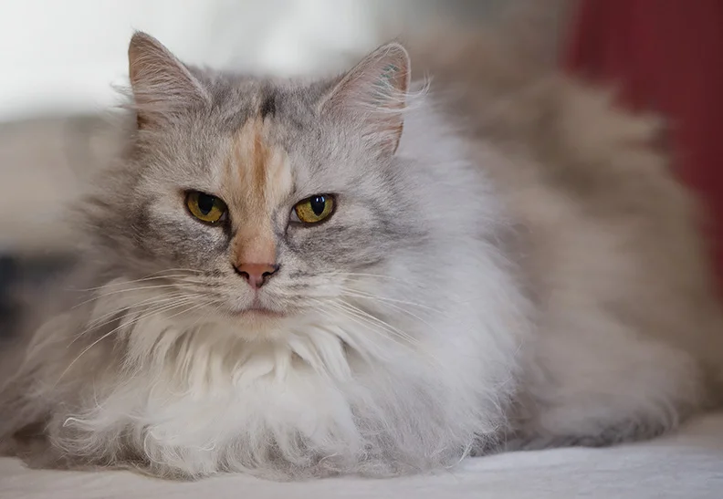 27 (Topaz AI) (x800).webp