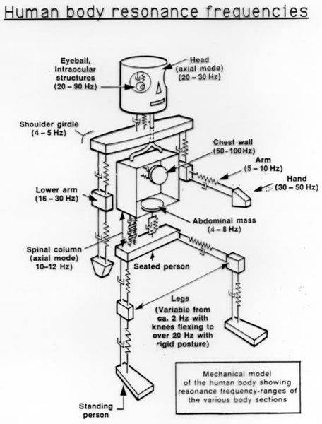 Human Body Frequency Chart