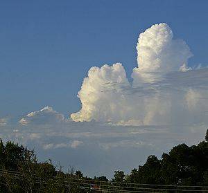 300px-Cumulus_congestus_cloud.jpg