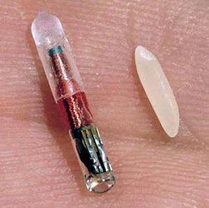 300px-Microchip_rfid_rice.jpg