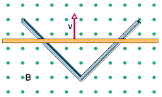 31_56.gif