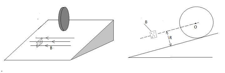 3219643116_147229941_574_574.jpg
