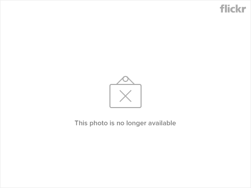 3279671101_fd18dc92e5.jpg