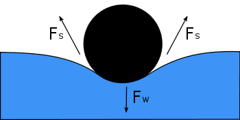 350px-Surface_Tension_Diagram.svg.png