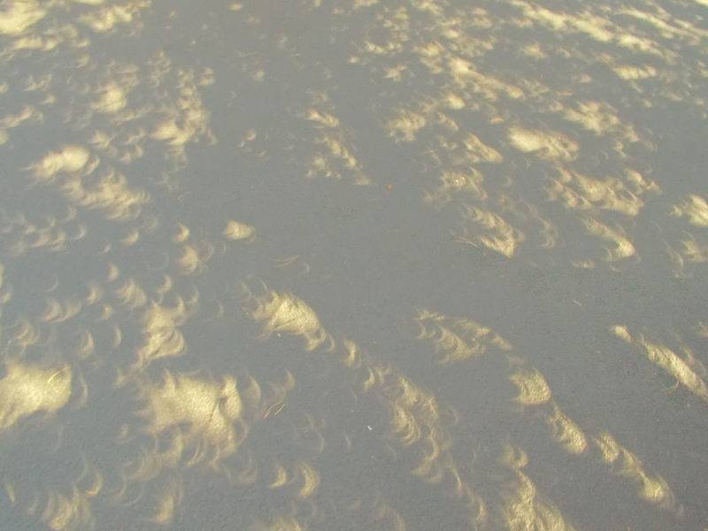 exclipse shadows