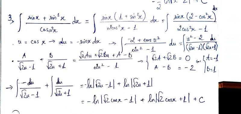 368064999_867353445000190_1304311522445404453_n.jpg