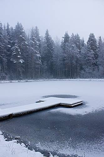 3720108172_f0a5ab472c.jpg