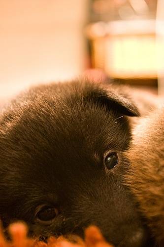 3720110482_67a42b8571.jpg