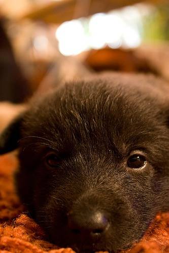 3720110804_95cb29bc48.jpg