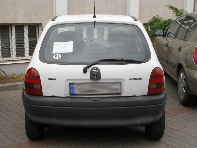 3813923.jpg