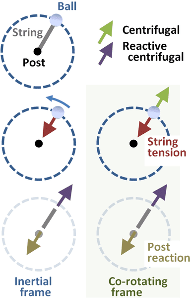 385px-Reactive_centrifugal_and_centrifugal_forces.PNG