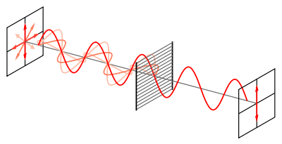 400px-Wire-grid-polarizer.svg.png