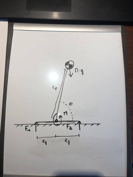 438267467_748545583928533_7577010816337183083_n.jpg