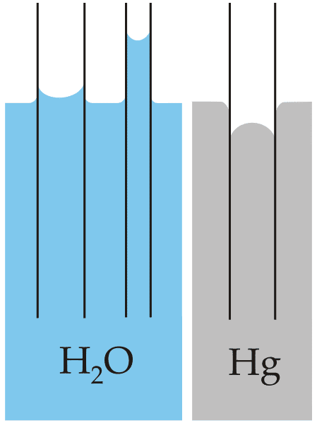 449px-Capillarity.svg.png