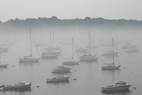 48461236_d5b40649a5.jpg
