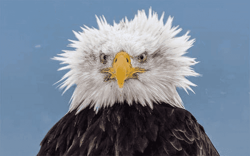 4bdaf581f7a3dcdfc8be84f680b7bed9.png
