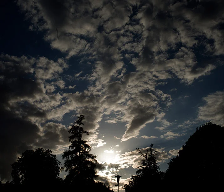 504 (Canon nFD 35mm f2.8).webp