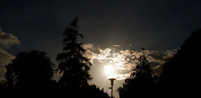 512 (Canon nFD 35mm f2.8).webp