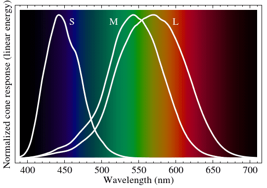 540px-Cone-fundamentals-with-srgb-spectrum.svg.png